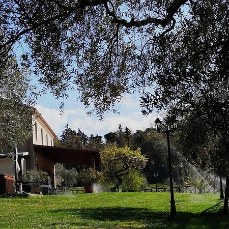 Agriturismo La Contea Senigallia Villa San Gaudenzio Exterior photo